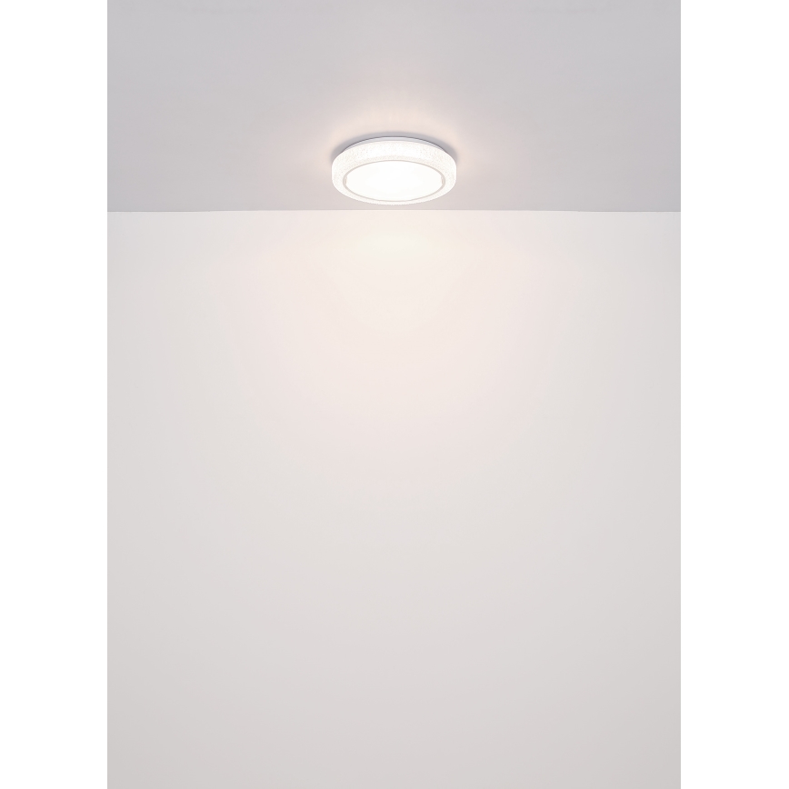 Globo - Стельовий LED світильник LED/24W/230V діаметр 40 см 4000K білий