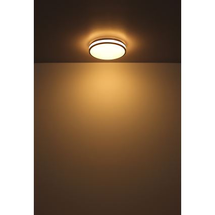 Globo - Стельовий RGBW-світильник з регулюванням яскравості LED/18W/230V 2700-6000K + пульт дистанційного керування