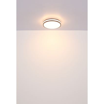 Globo - Светодиодный потолочный RGBW-светильник с регулированием яркости LED/18W/230V 2700-6000K + дистанционное управление