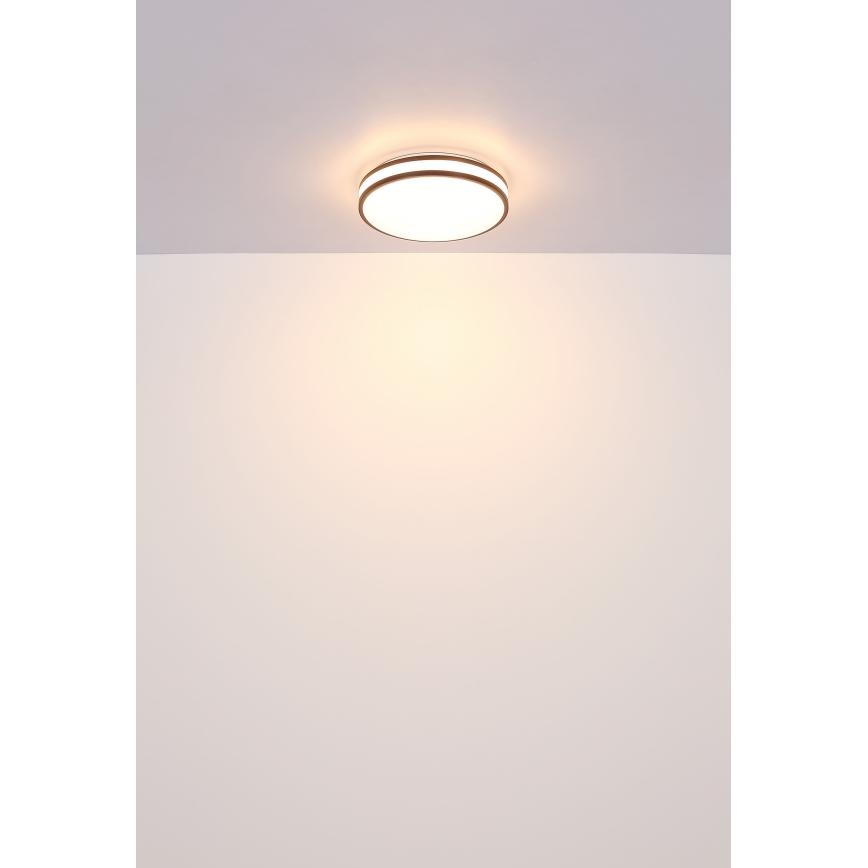 Globo - Светодиодный потолочный RGBW-светильник с регулированием яркости LED/18W/230V 2700-6000K + дистанционное управление