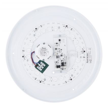 Globo - Стельовий RGBW-світильник з регулюванням яскравості LED/24W/230V 3000-6500K+ пульт дистанційного керування
