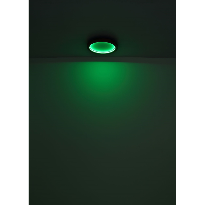 Globo - Стельовий RGBW-світильник з регулюванням яскравості LED/24W/230V 2700-6000K + пульт дистанційного керування