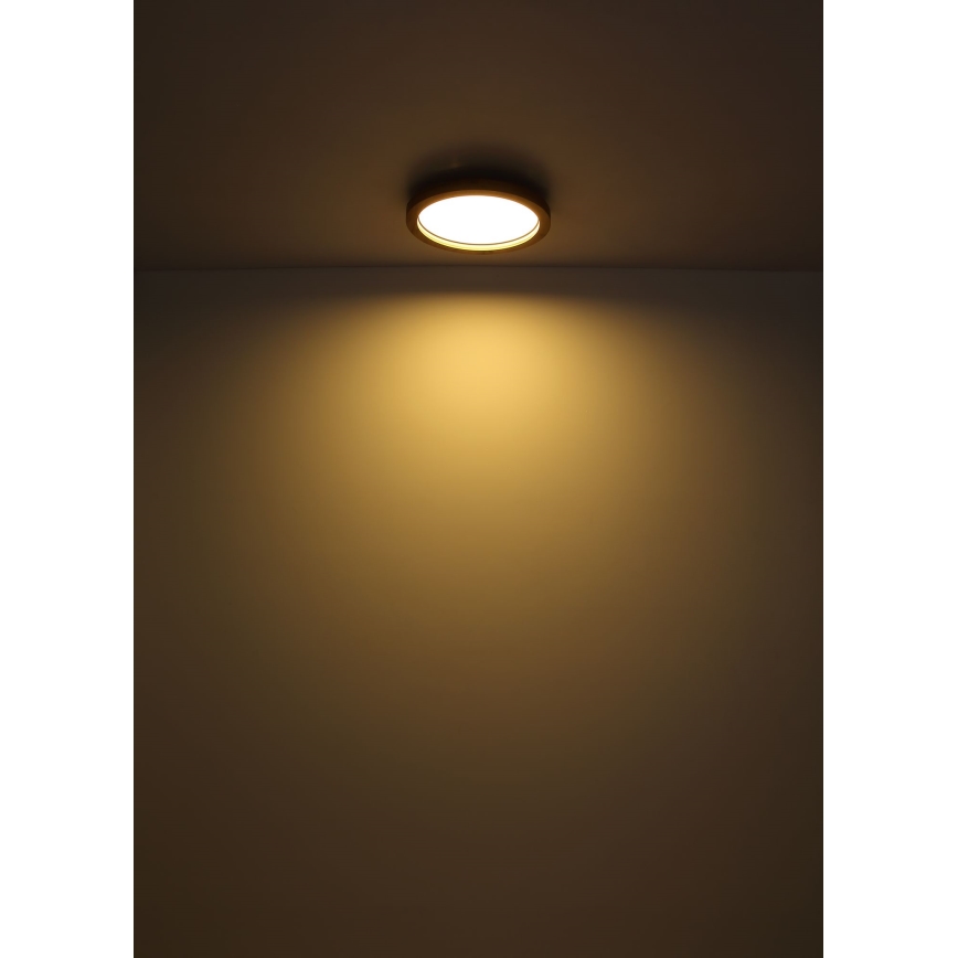 Globo - Стельовий RGBW-світильник з регулюванням яскравості LED/24W/230V 2700-6000K + пульт дистанційного керування