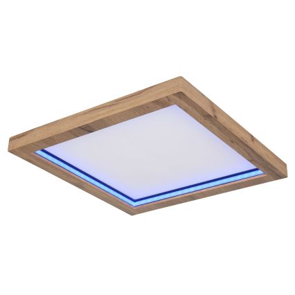 Globo - Стельовий RGBW-світильник з регулюванням яскравості LED/24W/230V 2700-6000K + пульт дистанційного керування