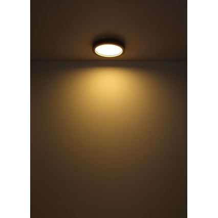 Globo - Светодиодный потолочный RGBW-светильник с регулированием яркости LED/24W/230V 2700-6000K + дистанционное управление