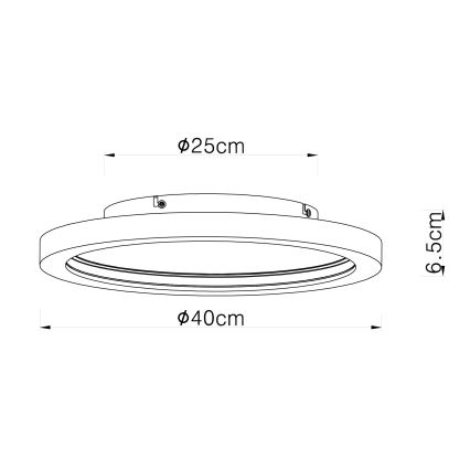 Globo - Стельовий RGBW-світильник з регулюванням яскравості LED/24W/230V 2700-6000K + пульт дистанційного керування
