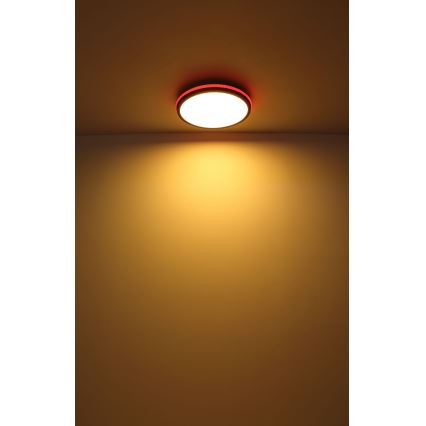 Globo - Стельовий RGBW-світильник з регулюванням яскравості LED/40W/230V 2700-6500K + пульт дистанційного керування