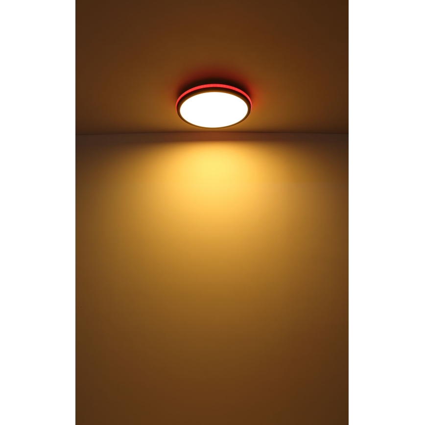 Globo - Стельовий RGBW-світильник з регулюванням яскравості LED/40W/230V 2700-6500K + пульт дистанційного керування