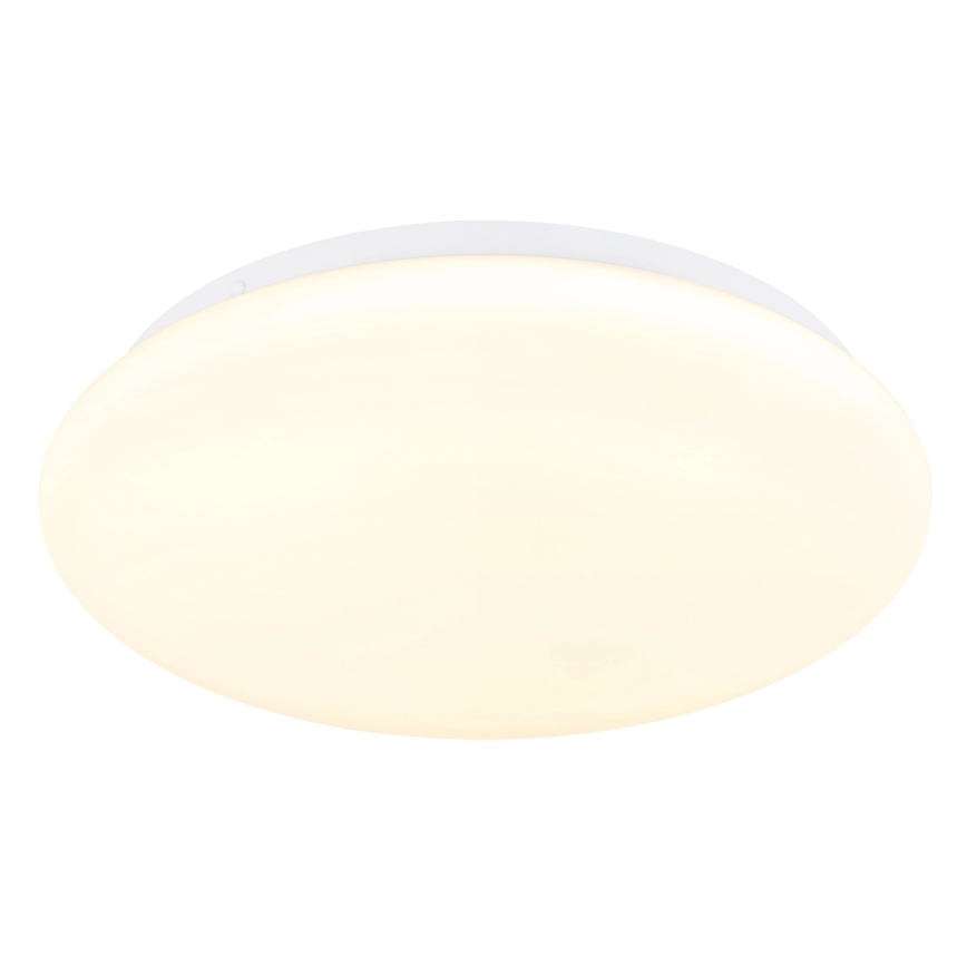 Globo - світлодіодний стельовий світильник LED/12W/230V 3000/4200/6500K діаметр 26 см