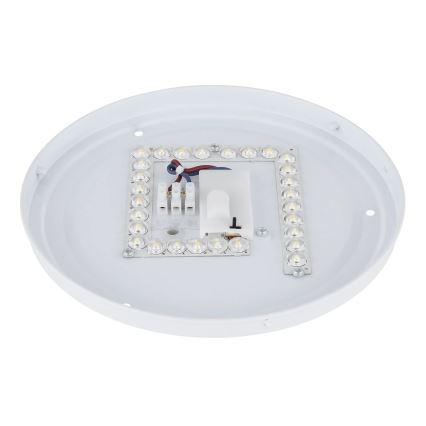 Globo - світлодіодний стельовий світильник LED/12W/230V 3000/4200/6500K діаметр 26 см