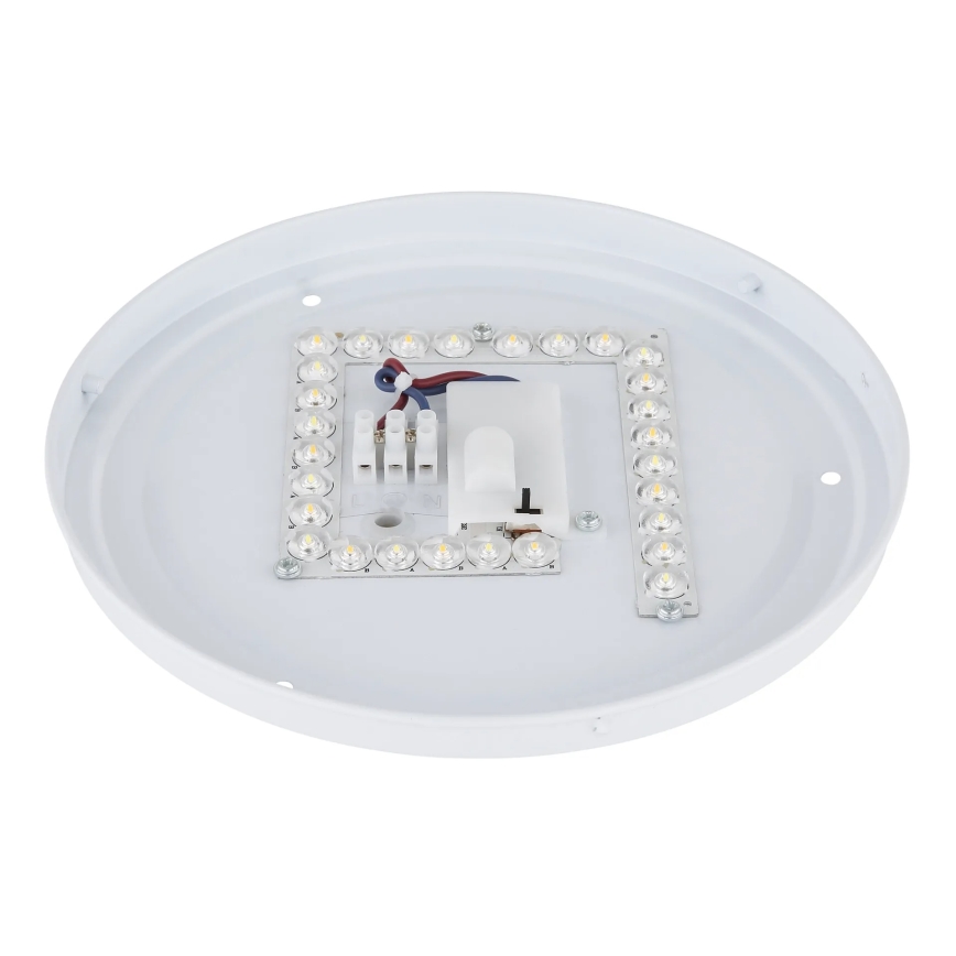 Globo - світлодіодний стельовий світильник LED/12W/230V 3000/4200/6500K діаметр 26 см