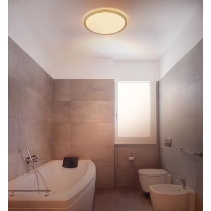 Globo - Светодиодный потолочный светильник для ванной комнаты с регулированием яркости LED/18W/230V 3000K IP44 диаметр 29,4 см латунь