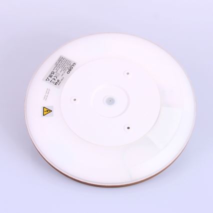 Globo - Стельовий LED світильник для ванної з регулюванням яскравості LED/18W/230V діаметр 29,4 см IP44 коричневий