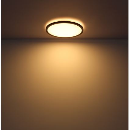 Globo - Стельовий LED світильник для ванної з регулюванням яскравості LED/24W/230V діаметр 42 см IP44 чорний