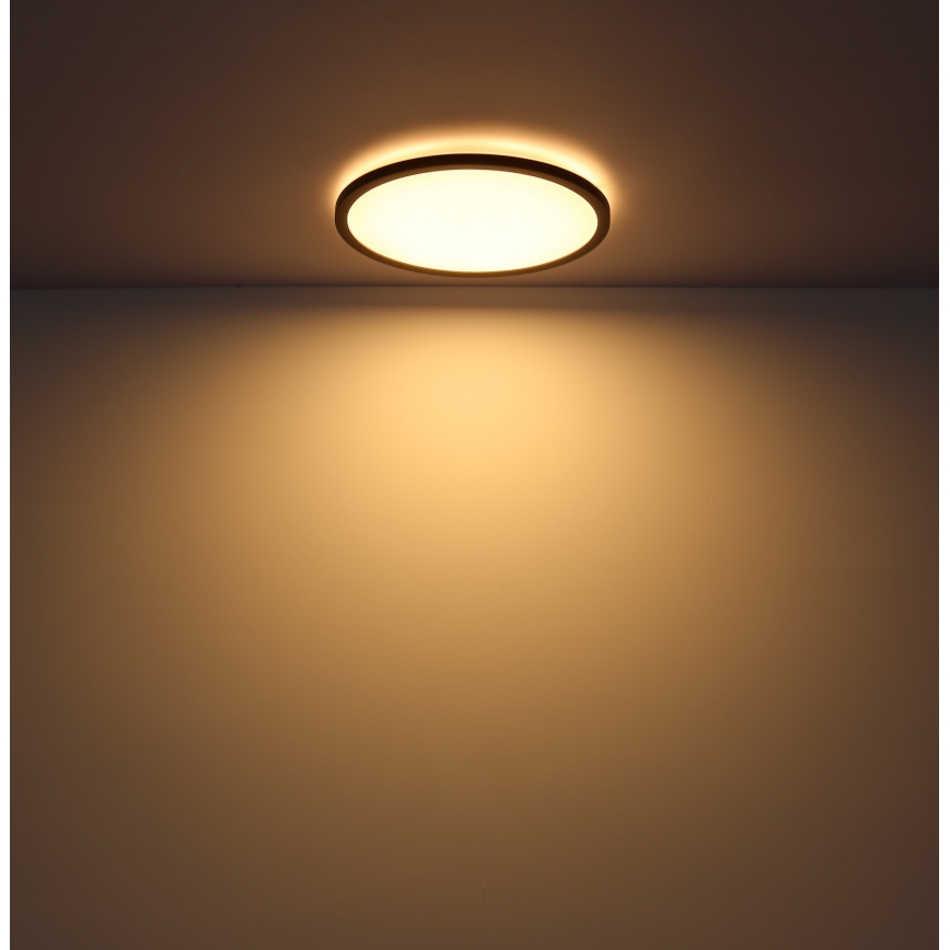 Globo - Стельовий LED світильник для ванної з регулюванням яскравості LED/24W/230V діаметр 42 см IP44 чорний