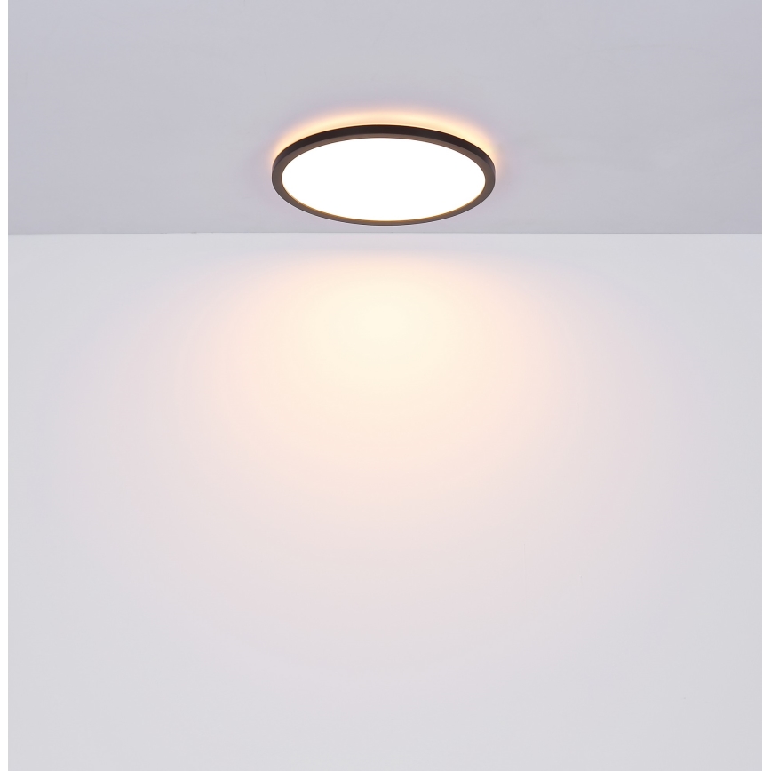 Globo - Стельовий LED світильник для ванної з регулюванням яскравості LED/24W/230V діаметр 42 см IP44 чорний