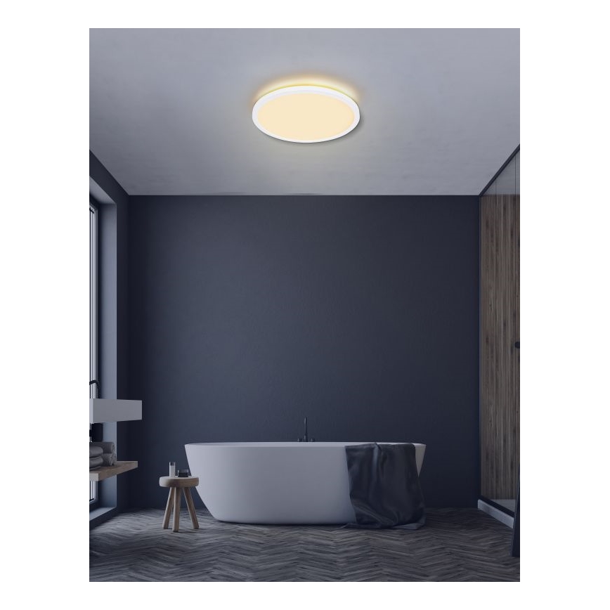 Globo - Стельовий LED світильник для ванної з регулюванням яскравості LED/24W/230V діаметр 42 см IP44 білий