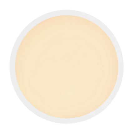 Globo - Стельовий LED світильник для ванної з регулюванням яскравості LED/24W/230V діаметр 42 см IP44 білий