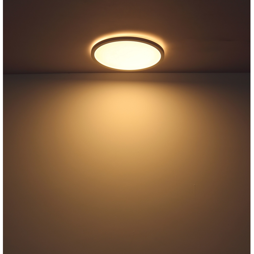 Globo - Стельовий LED світильник для ванної з регулюванням яскравості LED/24W/230V діаметр 42 см IP44 білий
