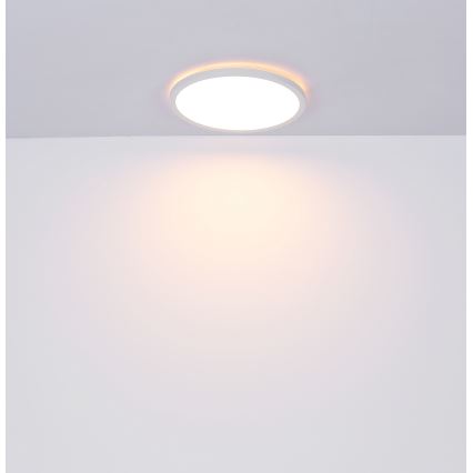 Globo - Стельовий LED світильник для ванної з регулюванням яскравості LED/24W/230V діаметр 42 см IP44 білий