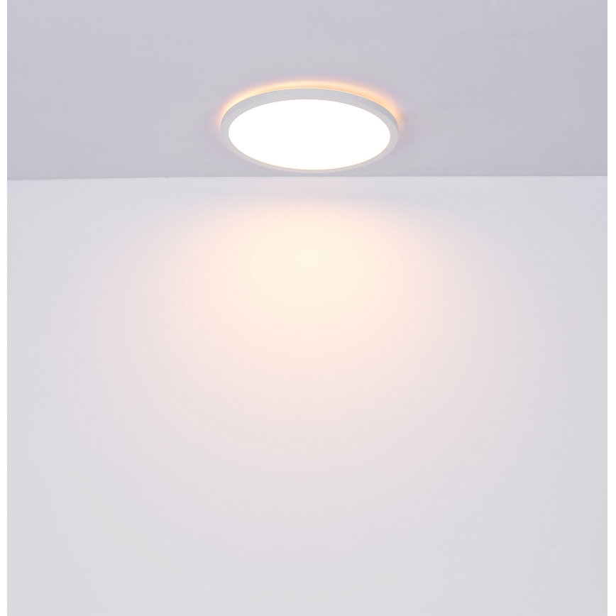 Globo - Стельовий LED світильник для ванної з регулюванням яскравості LED/24W/230V діаметр 42 см IP44 білий