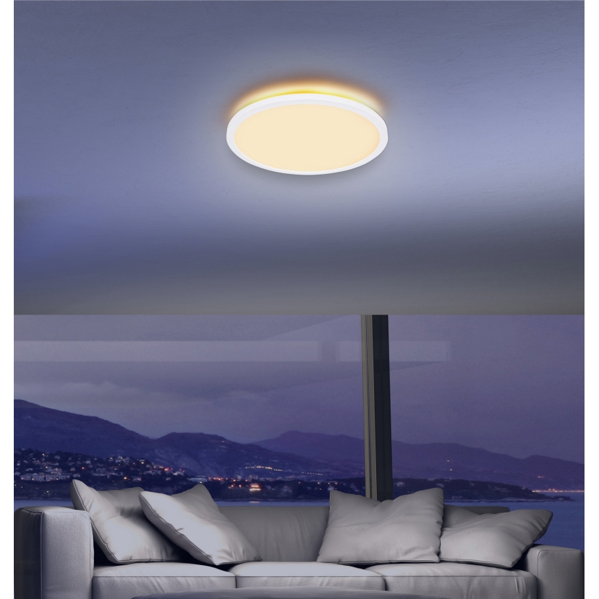 Globo - Стельовий LED світильник для ванної з регулюванням яскравості LED/24W/230V діаметр 42 см IP44 білий