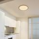 Globo - Стельовий LED світильник для ванної з регулюванням яскравості LED/24W/230V діаметр 42 см IP44 коричневий