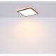 Globo - Светодиодный потолочный светильник для ванной комнаты с регулированием яркости LED/18W/230V 29,4x29,4 см IP44 черный
