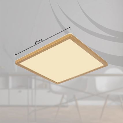 Globo - Стельовий LED світильник для ванної з регулюванням яскравості LED/18W/230V 3000K IP44 29,4x29,4 см латунь
