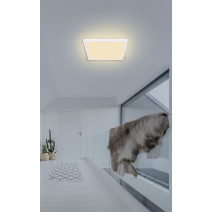 Globo - Стельовий LED світильник для ванної з регулюванням яскравості LED/18W/230V 29,4x29,4 см IP44 білий
