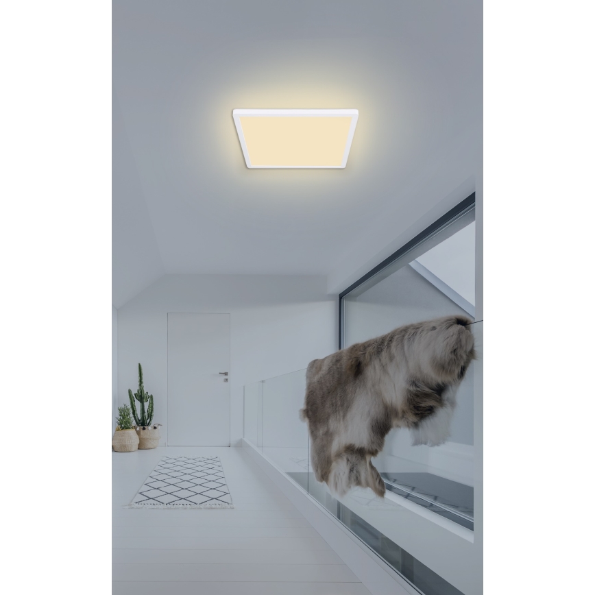Globo - Стельовий LED світильник для ванної з регулюванням яскравості LED/18W/230V 29,4x29,4 см IP44 білий