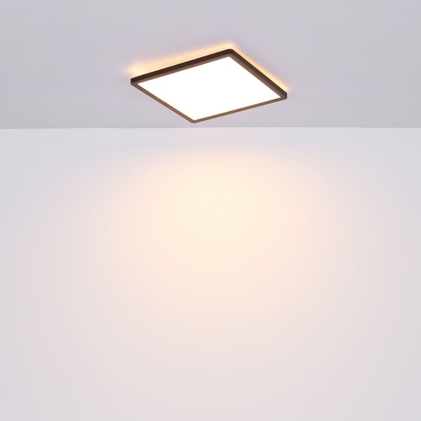 Globo - Стельовий LED світильник для ванної з регулюванням яскравості LED/24W/230V 42x42 см IP44 чорний