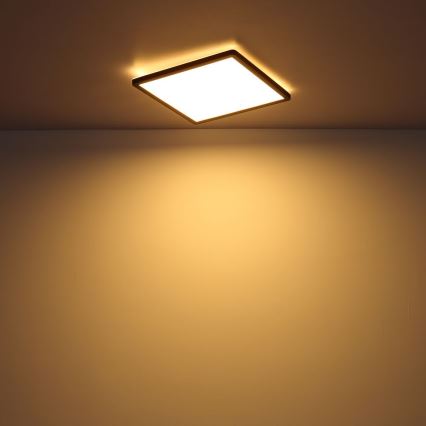 Globo - Стельовий LED світильник для ванної з регулюванням яскравості LED/24W/230V 42x42 см IP44 чорний