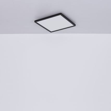 Globo - Стельовий LED світильник для ванної з регулюванням яскравості LED/24W/230V 42x42 см IP44 чорний