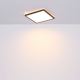 Globo - Стельовий LED світильник для ванної з регулюванням яскравості LED/24W/230V 42x42 см IP44 чорний