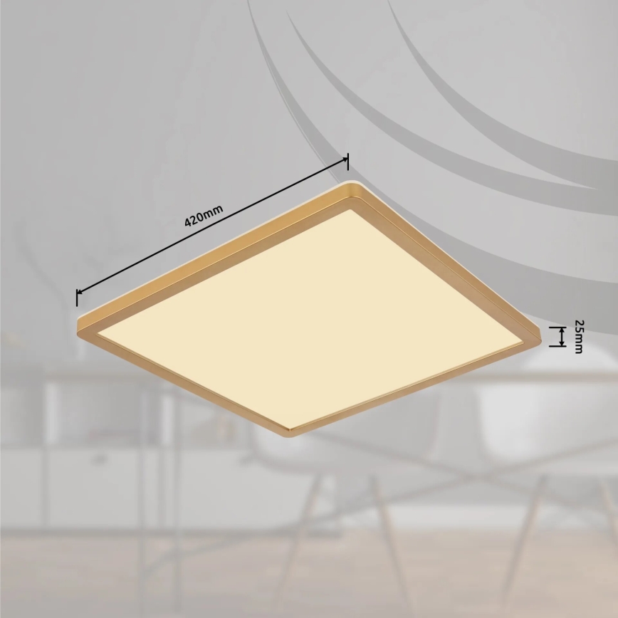 Globo - Стельовий LED світильник для ванної з регулюванням яскравості LED/24W/230V 3000K IP44 42x42 см латунь