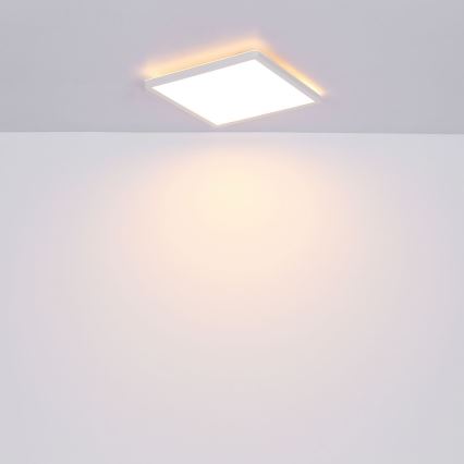 Globo - Стельовий LED світильник для ванної з регулюванням яскравості LED/24W/230V 42x42 см IP44 білий