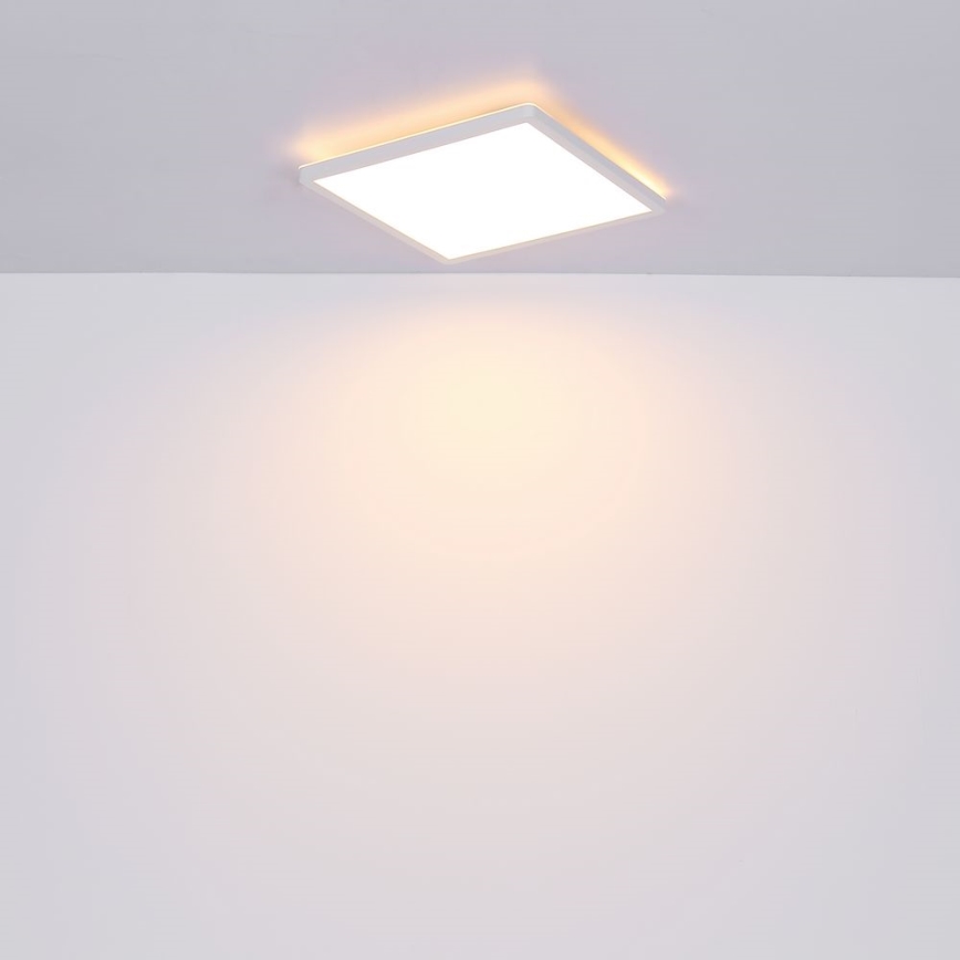 Globo - Стельовий LED світильник для ванної з регулюванням яскравості LED/24W/230V 42x42 см IP44 білий