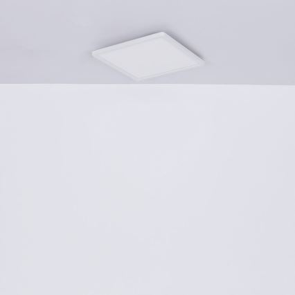 Globo - Стельовий LED світильник для ванної з регулюванням яскравості LED/24W/230V 42x42 см IP44 білий
