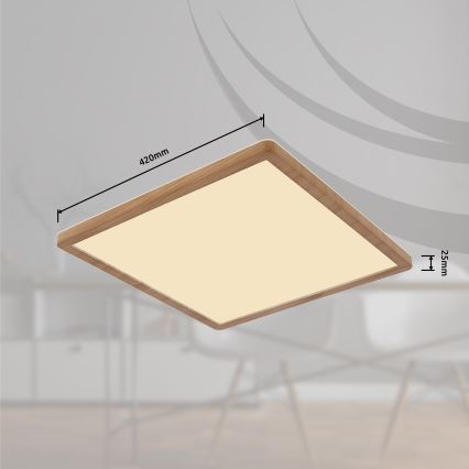 Globo - Стельовий LED світильник для ванної з регулюванням яскравості LED/24W/230V 42x42 см IP44 коричневий