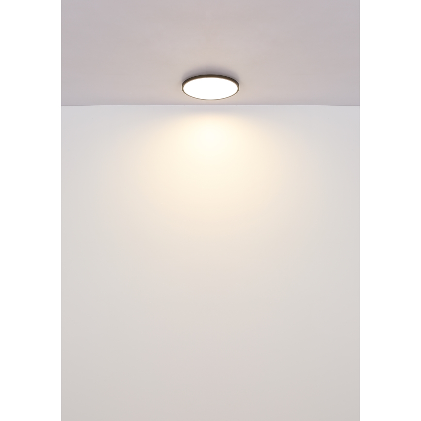 Globo - Стельовий LED світильник LED/15W/230V 4000K діаметр 23 см чорний