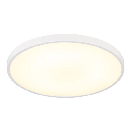 Globo - потолочный светильник LED, 15 Вт/230 В, 4000 К, диаметр 23 см, белый