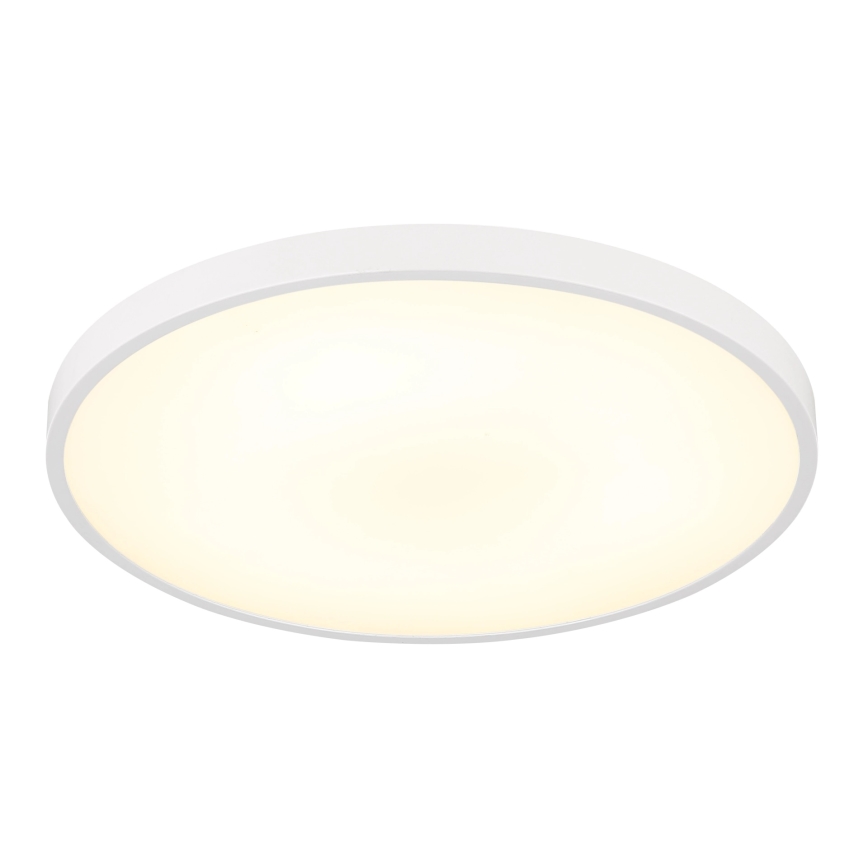 Globo - потолочный светильник LED, 15 Вт/230 В, 4000 К, диаметр 23 см, белый
