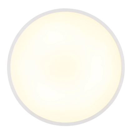 Globo - потолочный светильник LED, 15 Вт/230 В, 4000 К, диаметр 23 см, белый