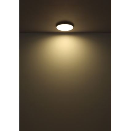 Globo - Светодиодный потолочный светильник LED/32W/230V 4000K диаметр 40 см черный