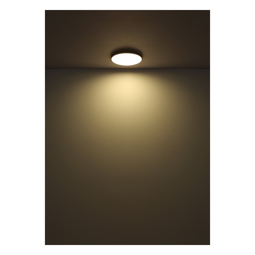 Globo - Светодиодный потолочный светильник LED/32W/230V 4000K диаметр 40 см черный