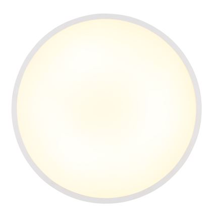Globo - Светодиодный потолочный светильник LED/32W/230V 4000K диаметр 40 см белый