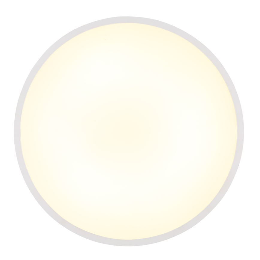 Globo - Светодиодный потолочный светильник LED/32W/230V 4000K диаметр 40 см белый