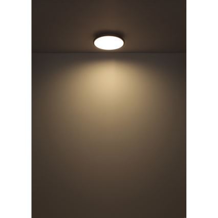 Globo - Стельовий LED світильник LED/18W/230V 4000K діаметр 35 см чорний