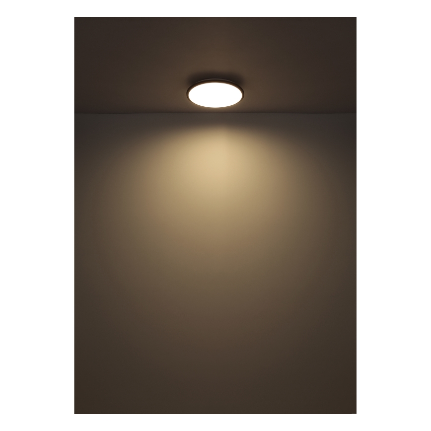 Globo - Стельовий LED світильник LED/18W/230V 4000K діаметр 35 см чорний